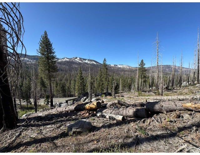 20149 Us Highway 50, South Lake Tahoe