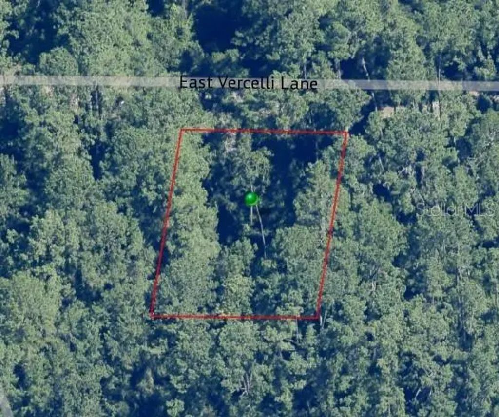 1016 E Vercelli Lane, Dunnellon