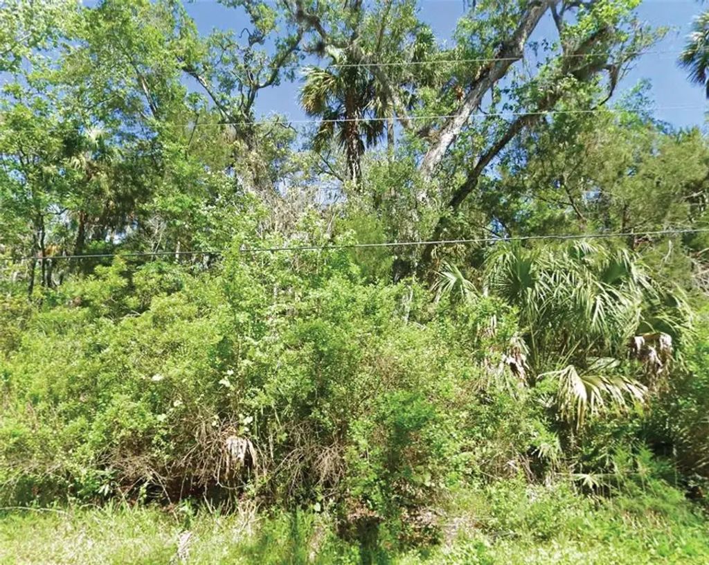 10243 W Palmetto Street, HOMOSASSA