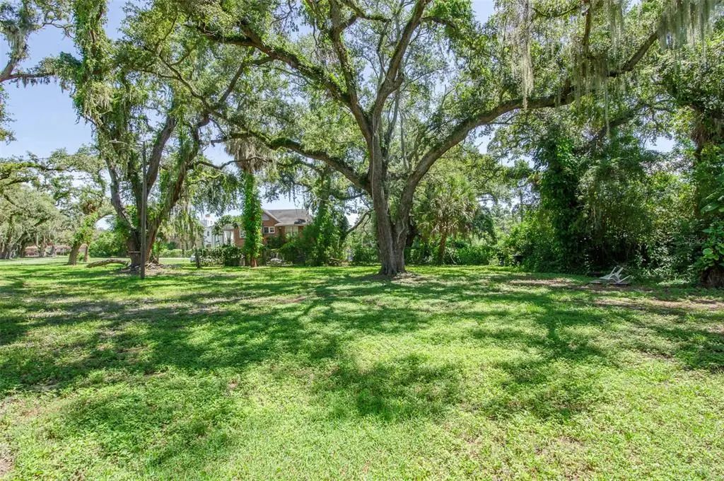 Photo of Listing #TB8545581