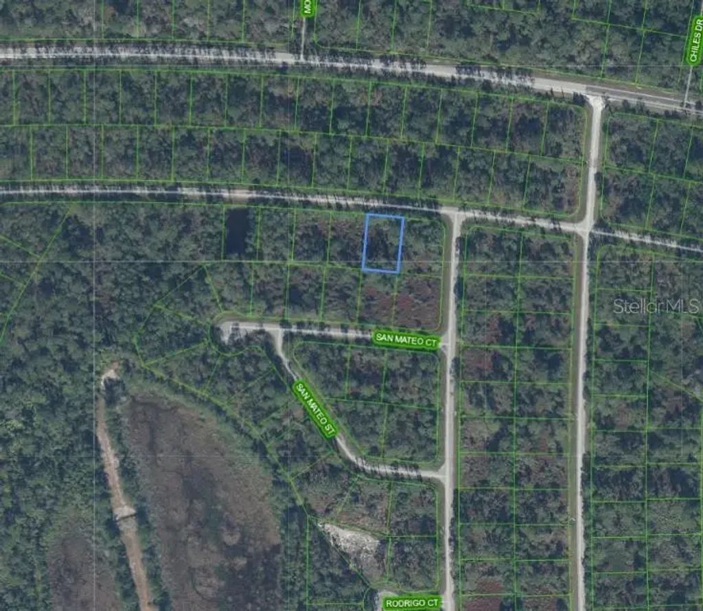 7009 Virtudes Street, SEBRING