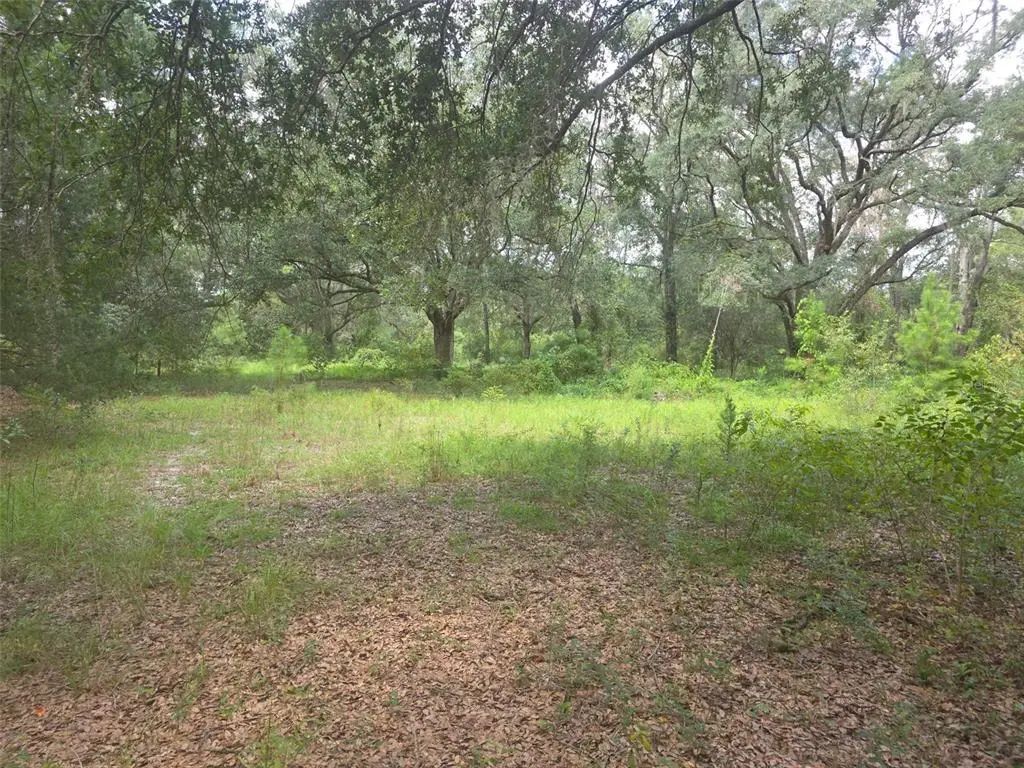 16604 Ne 21st Street, GAINESVILLE