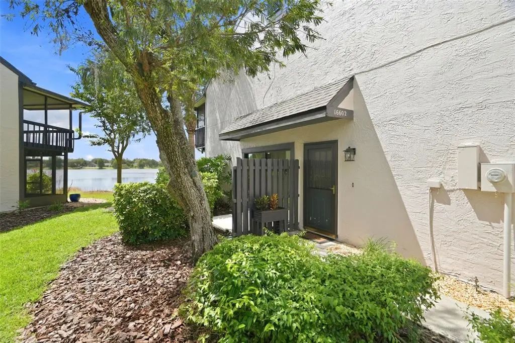 16602 Brigadoon Drive, TAMPA