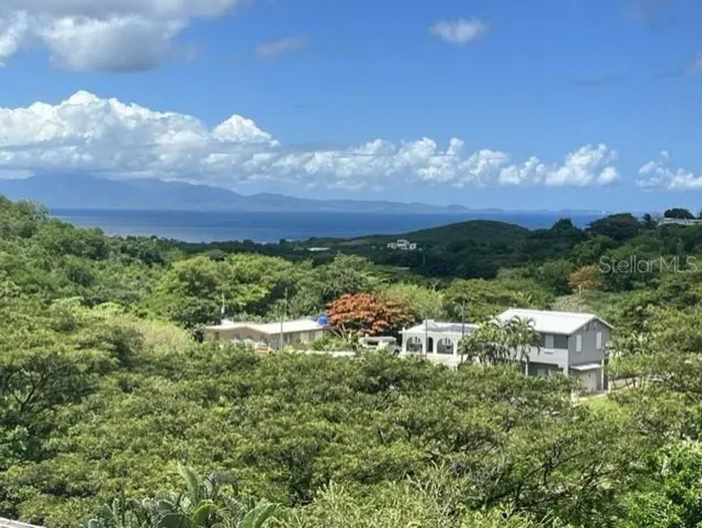 15 Bird's Nest Studios, VIEQUES