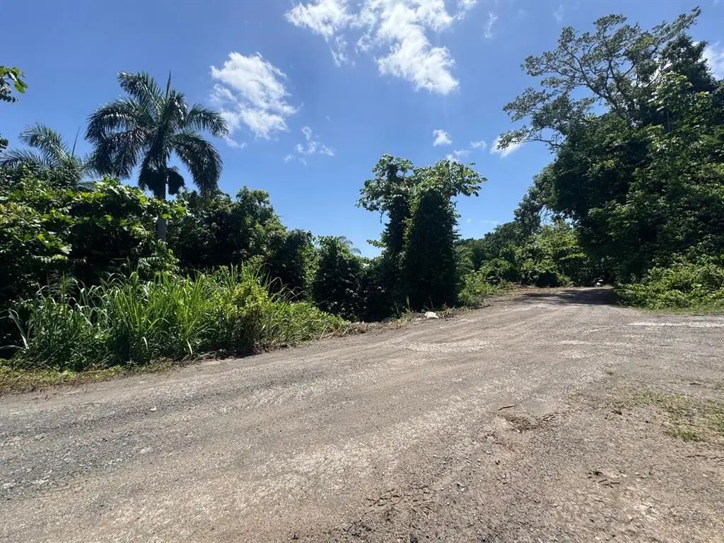 Carr. 361, Km. 3.9 Bo. CaÍn Bajo, SAN GERMAN