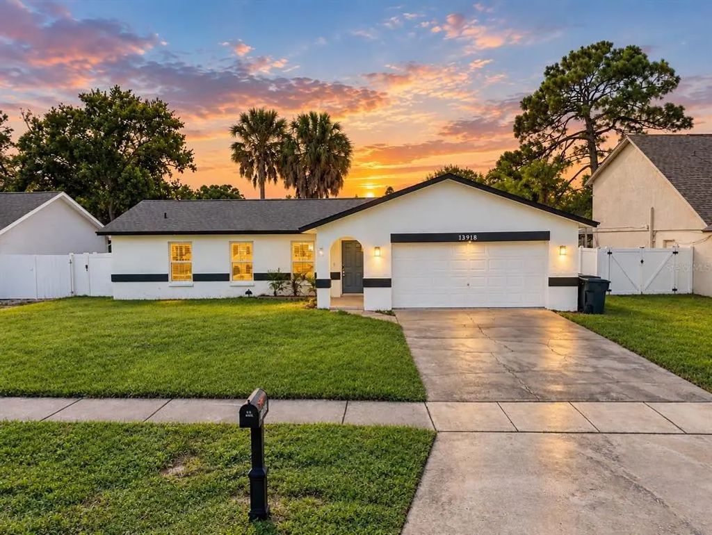 13918 Briardale Lane, TAMPA