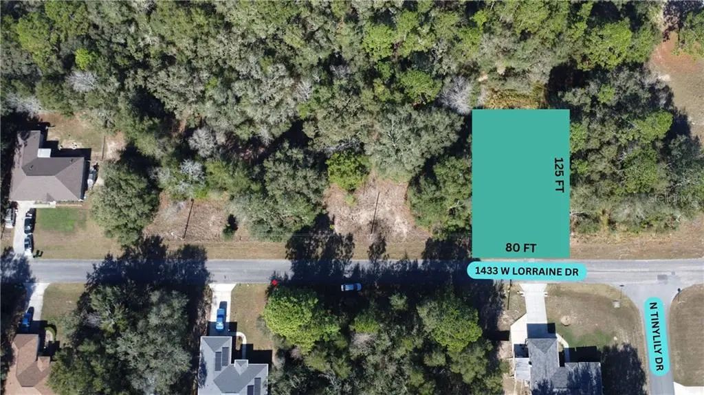1433 W Lorraine Drive, Citrus Springs