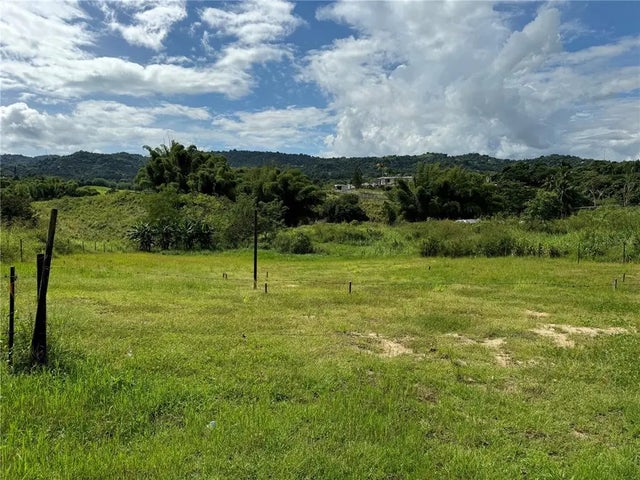 Valenciano Arriba, JUNCOS