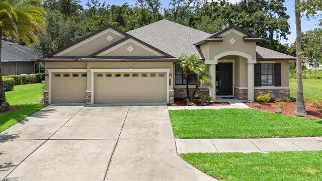 20020 Outpost Point Drive, TAMPA