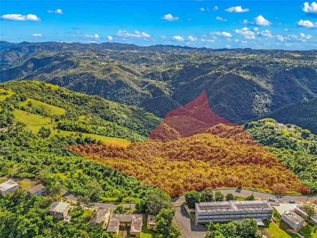 Carr. 156 Km 20.1 Interior Bo. Honduras, BARRANQUITAS
