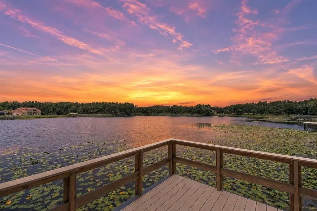 2459 Shorewood Lane, LAND O LAKES