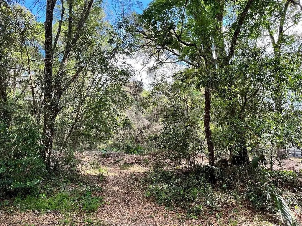 Garfield Avenue, BROOKSVILLE