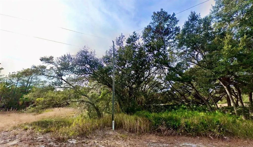 175 Fisher Ln Court, OCKLAWAHA