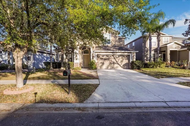 20427 Carolina Cherry Court, TAMPA