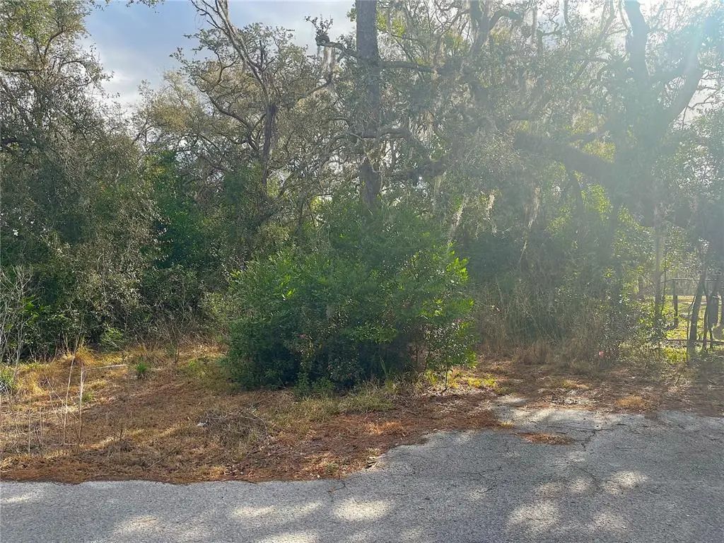 10024 Oana Street, NEW PORT RICHEY