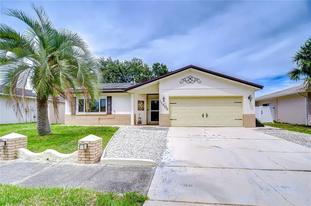 11609 Painted Hills Lane, TAMPA