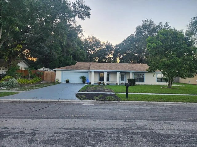 14216 Briarthorn Drive, TAMPA