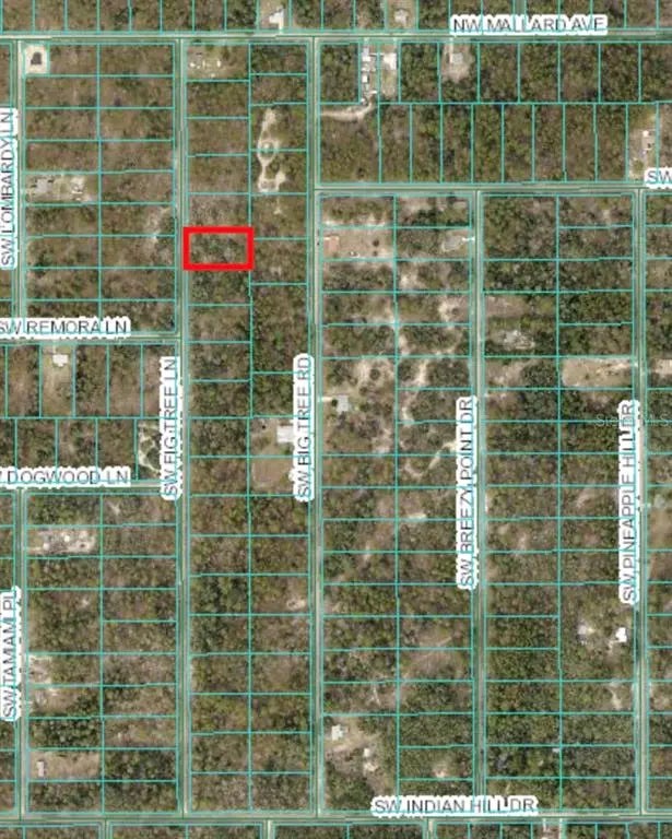 Tbd Sw Fig Tree Ln, DUNNELLON
