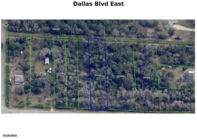 Dallas Blvd, ORLANDO