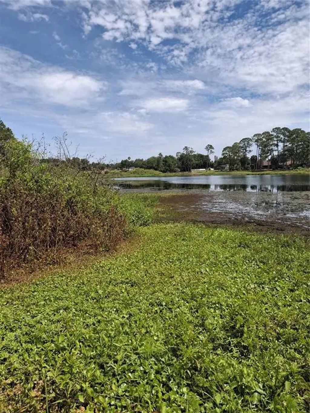 885 East Lehigh Drive, DELTONA
