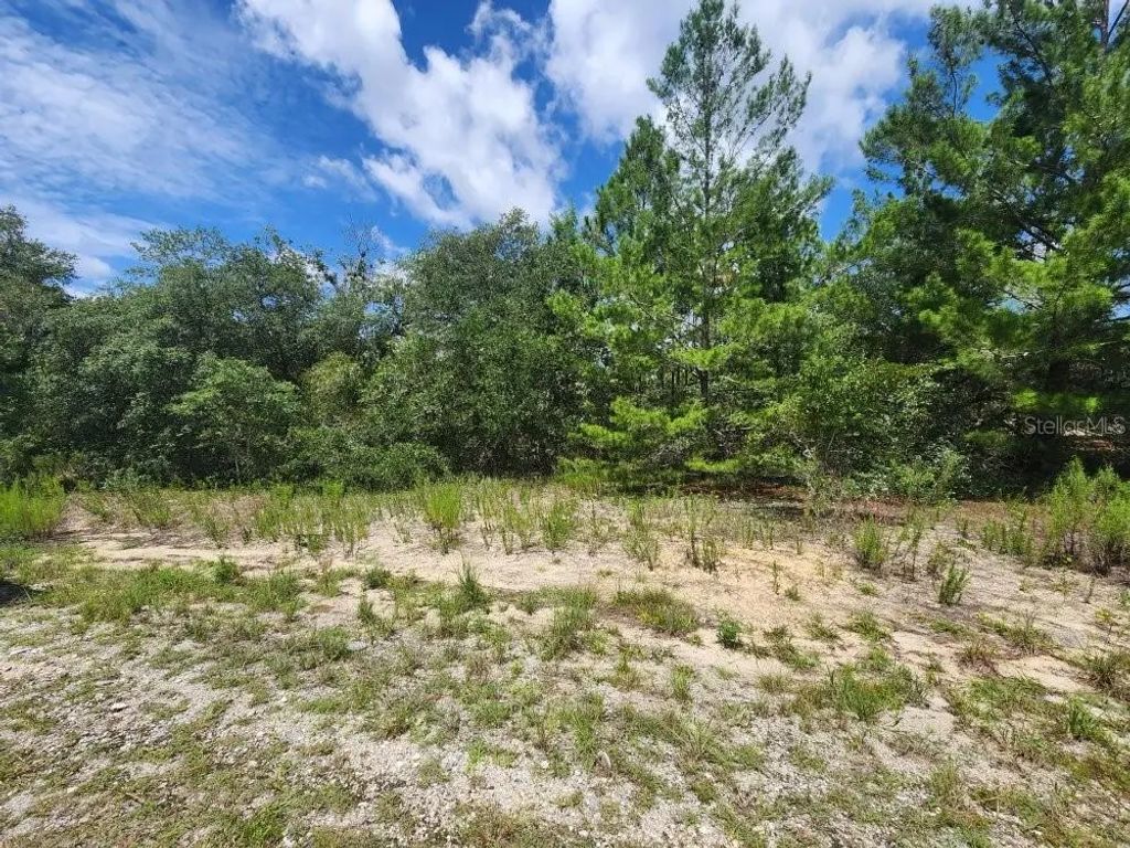 Sw Gardenia Court, DUNNELLON