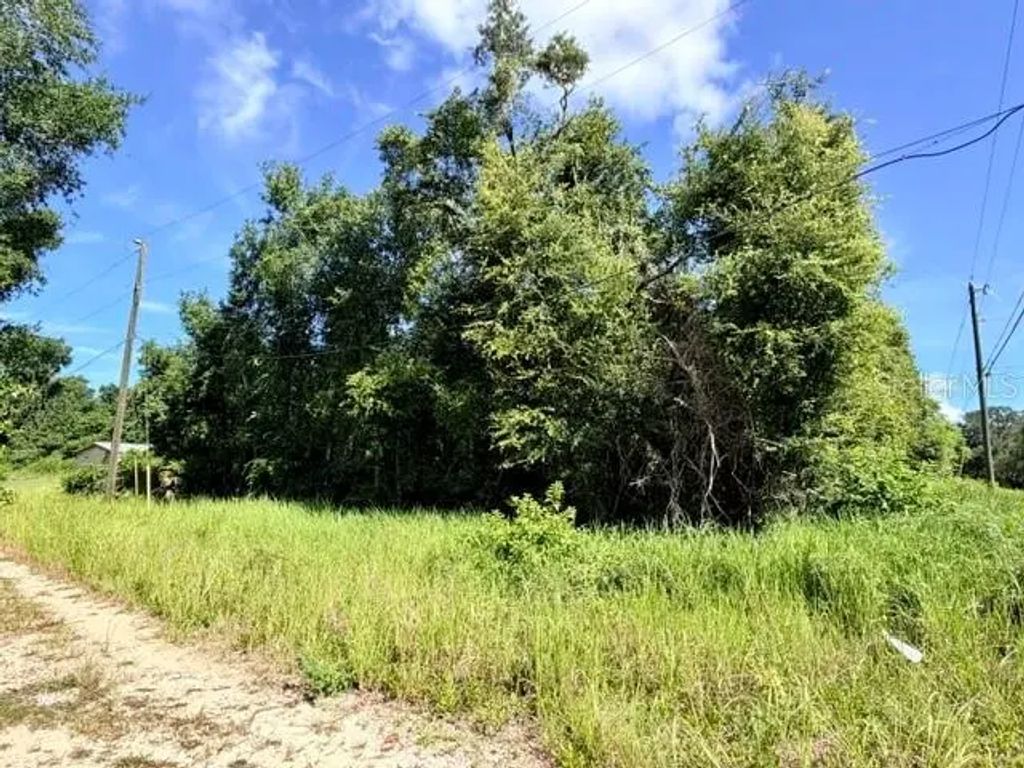 Ne 249th Court, SALT SPRINGS