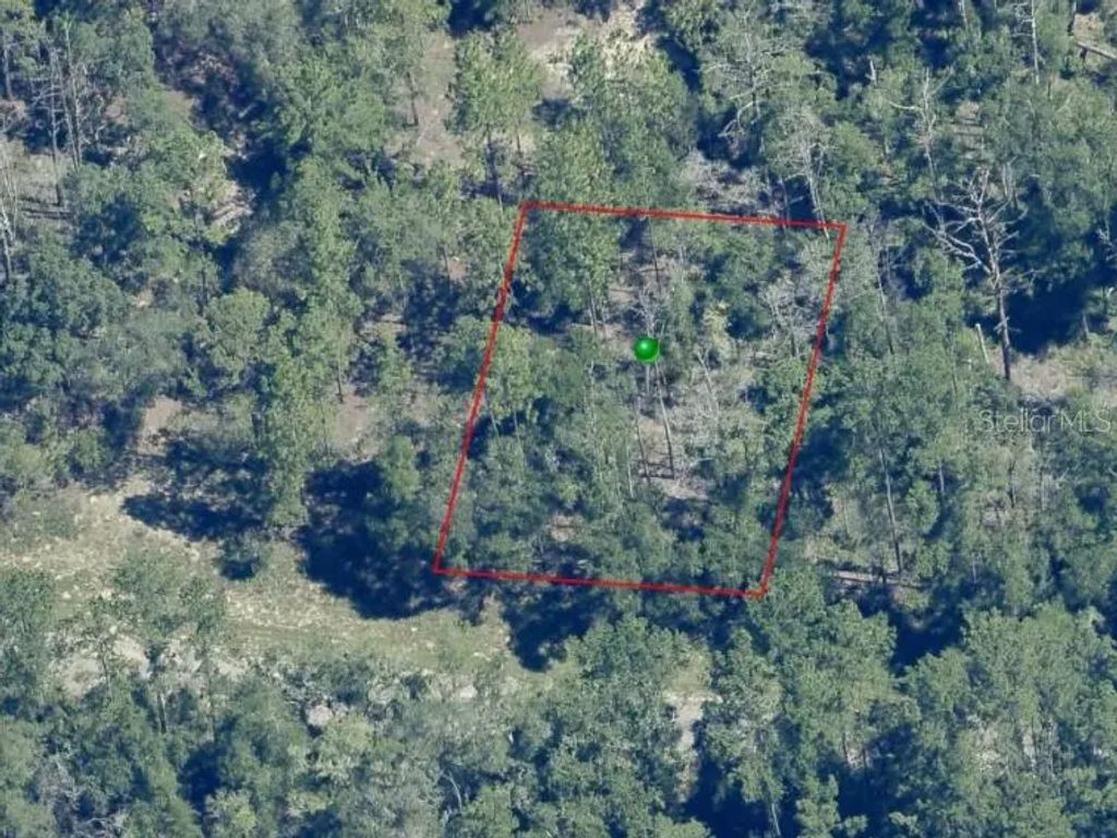 841 E Toledo Drive, Citrus Springs