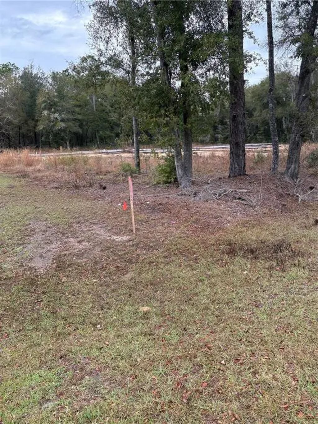 Sw 202nd Ct &sw 63rd Pl, DUNNELLON