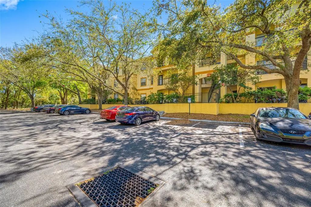 5612 Pinnacle Heights Circle 206, TAMPA