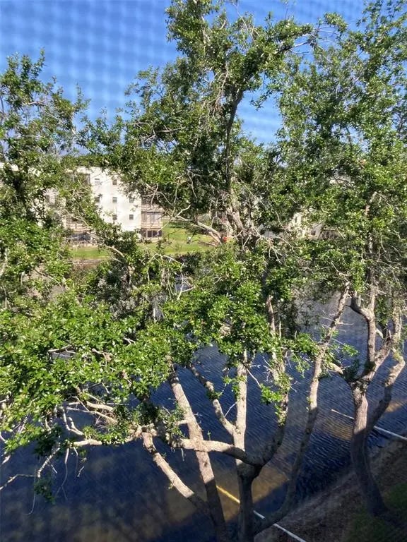 6080 80th Street N 409, ST PETERSBURG