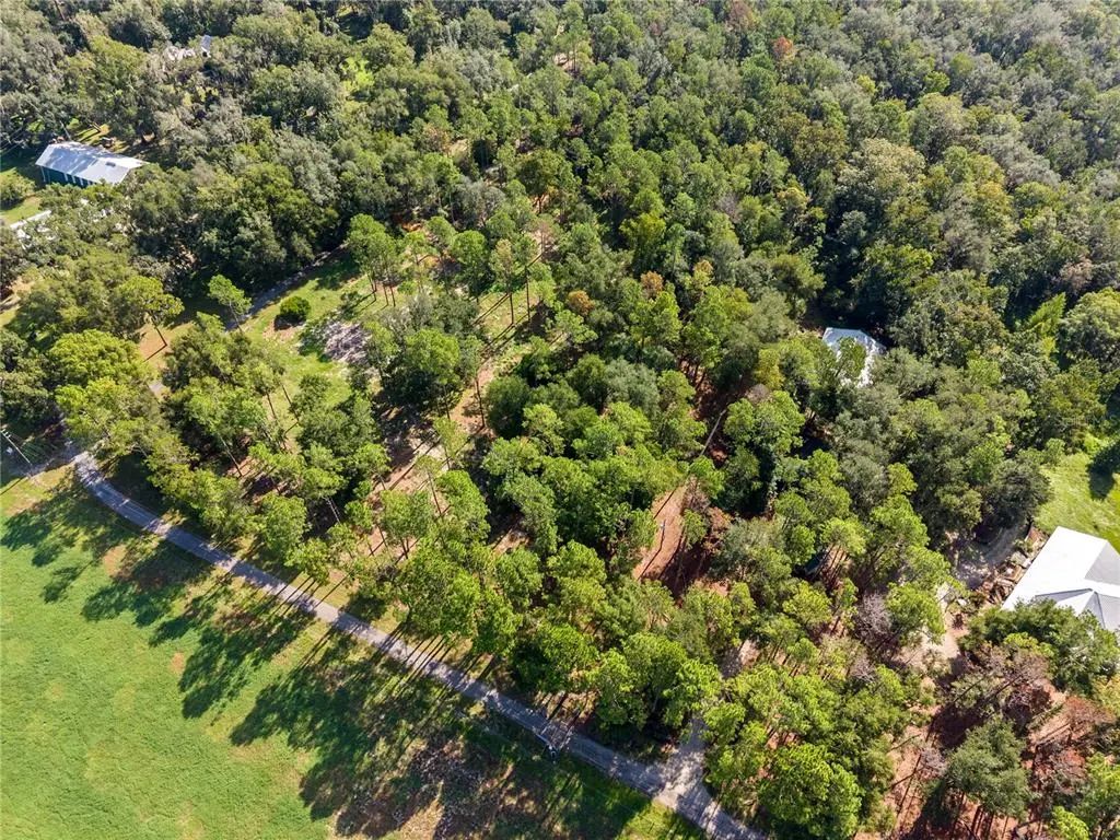 1230 Katie Wood Trail, BROOKSVILLE