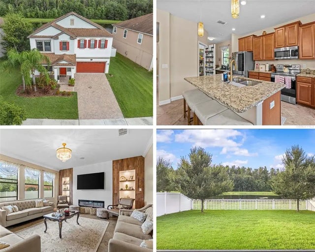 19418 Paddock View Drive, TAMPA