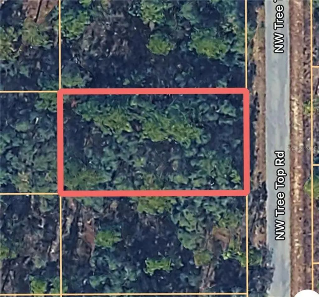 Nw Tree Top Unit #007 Road, Dunnellon