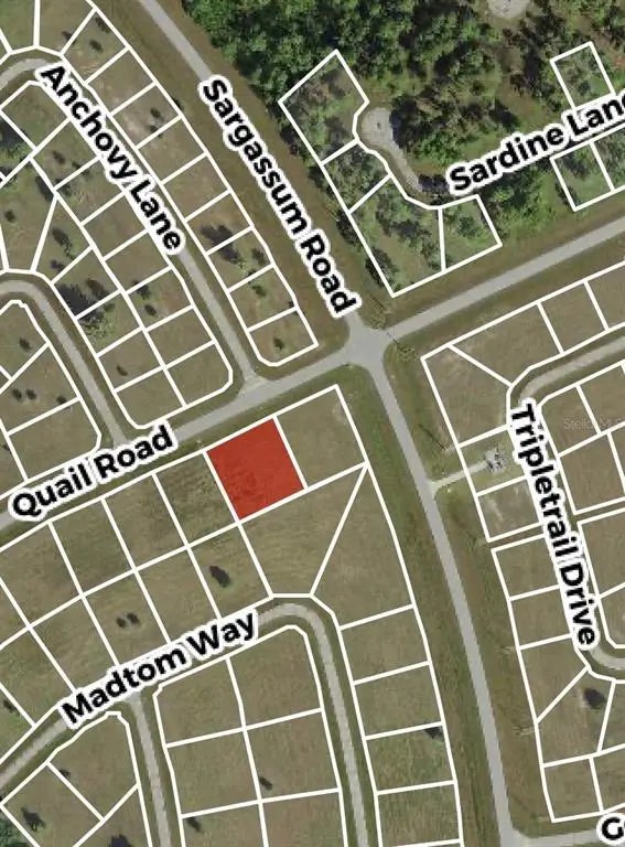 Photo of Listing #C7487461