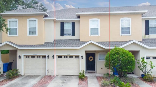 10007 Messina Pointe Way, TAMPA