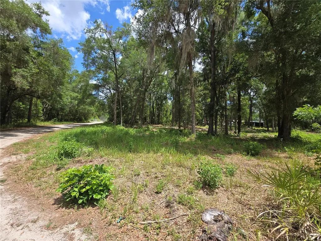 Sw 15th Place, OCALA
