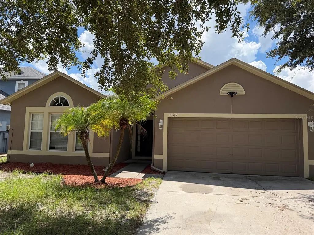 10919 Banyan Wood Way, RIVERVIEW