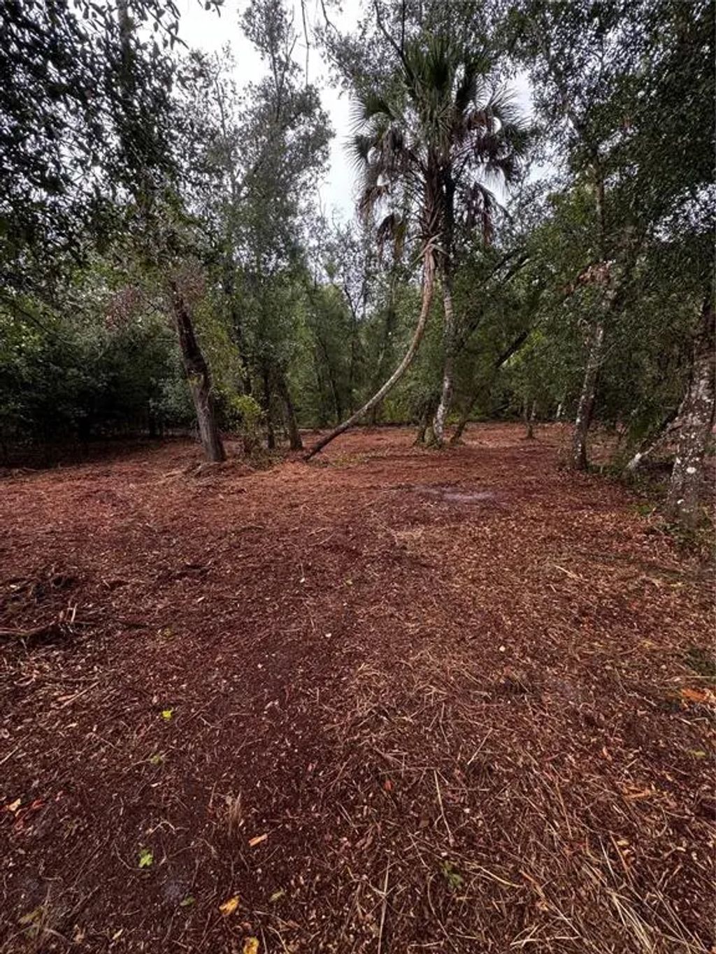 17432 Inglewood Avenue, PORT CHARLOTTE