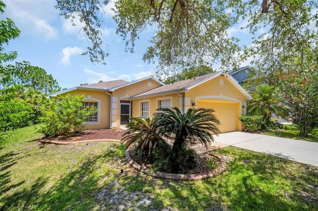 12415 Rustic View Court, TAMPA