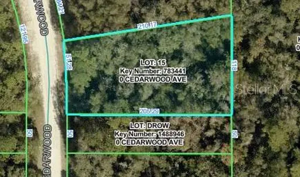 Cedarwood Avenue, WEEKI WACHEE