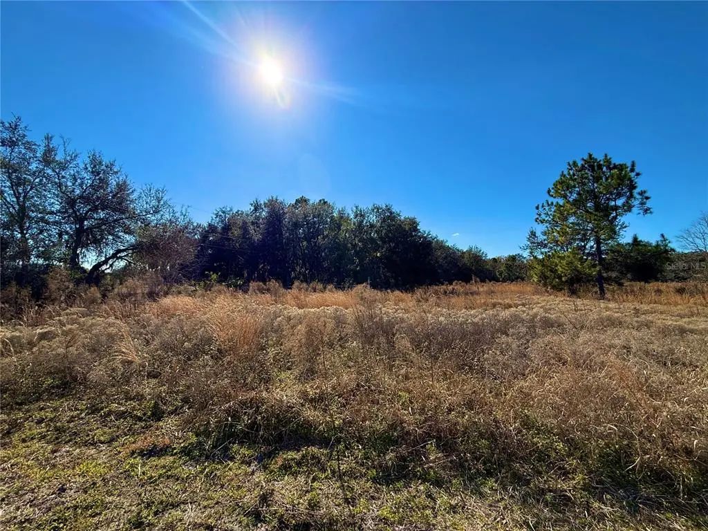 2546 & 2586 W Beresford Avenue, DELAND