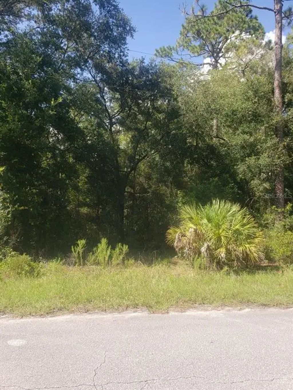 2949 W Grapevine Court, DUNNELLON