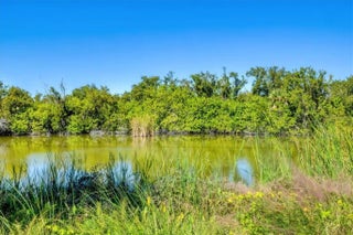 Gulf Shores Realty: 38 da64039086c65ac670bc8dc3b1cc8fca s