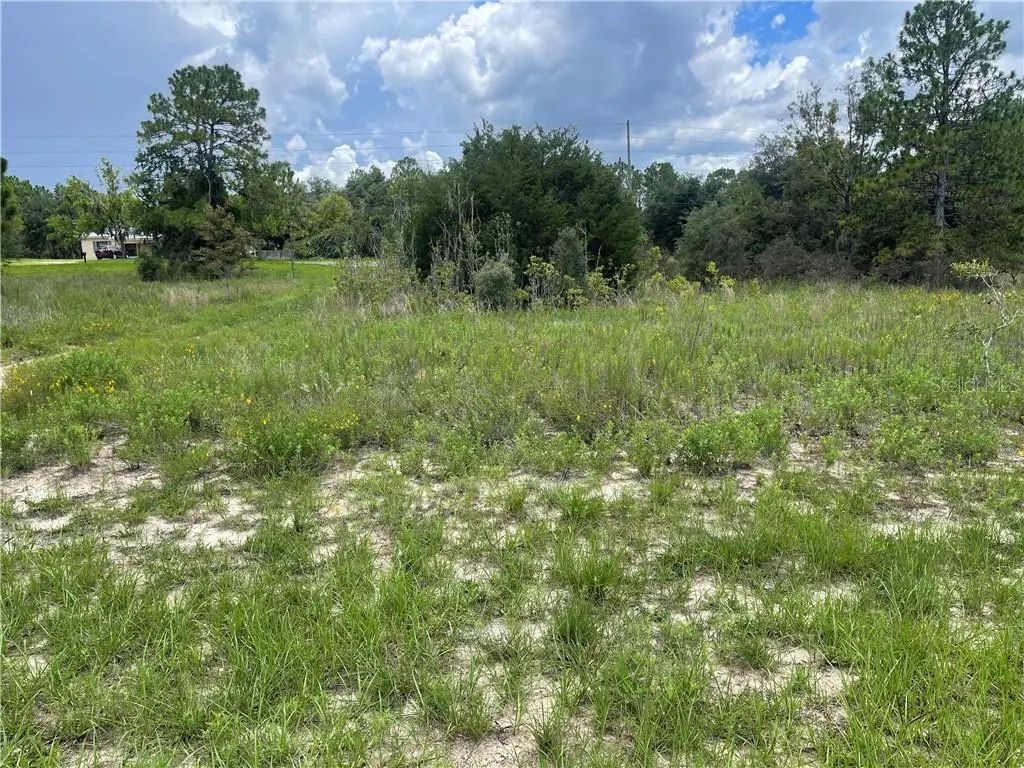 6028 W Alessi Place, Dunnellon
