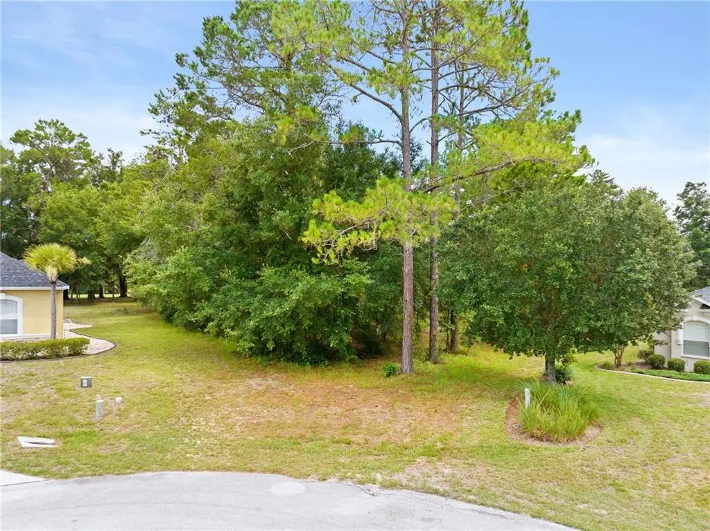 17 Woodlee Court S, HOMOSASSA
