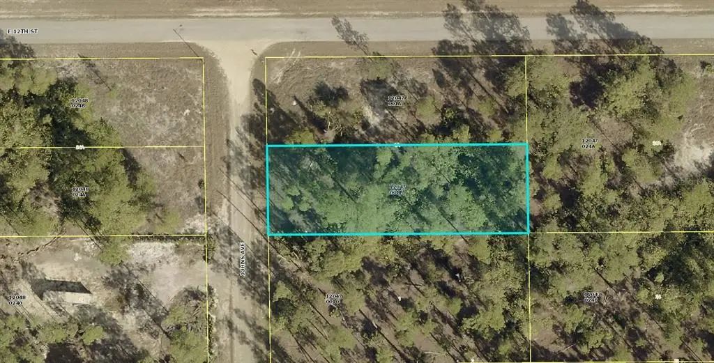 1124 Johns Avenue, LEHIGH ACRES