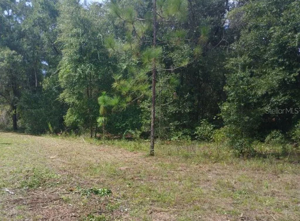 52nd Avenue Nw, OCALA
