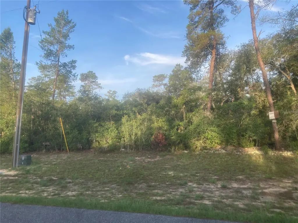 Sw 50th Terrace Road, OCALA