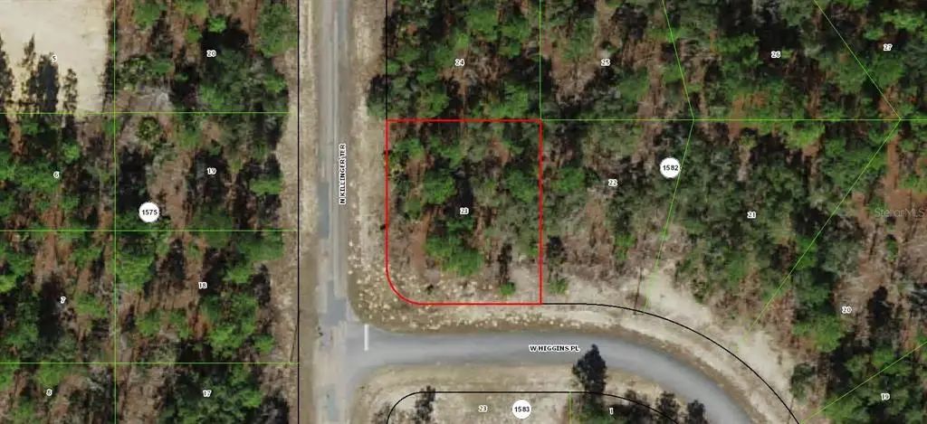 3299 W Higgins Place, CITRUS SPRINGS