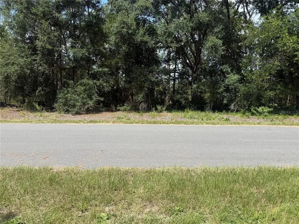 Locust Crs, OCALA